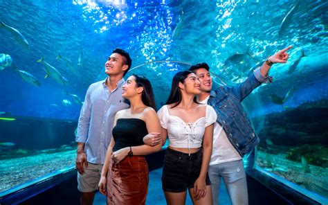 Manila Ocean Park: Ocean Wonder 8 Attractions Package Ticket .